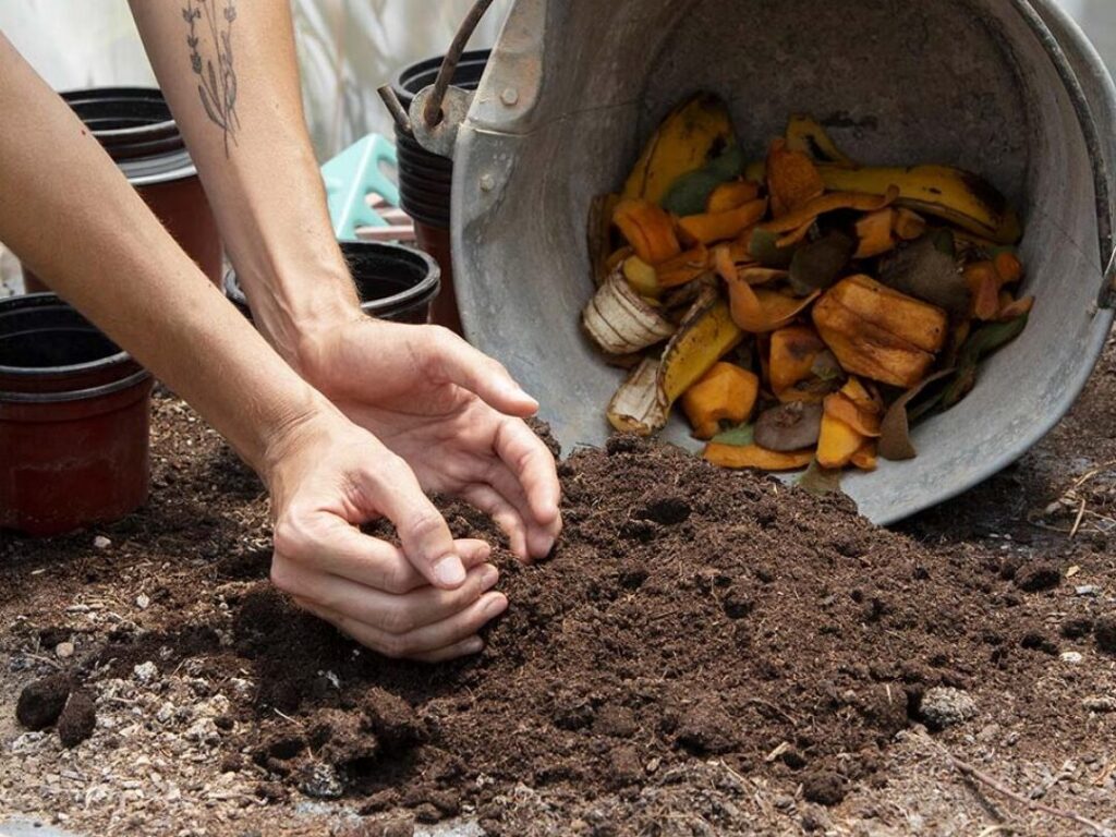 Les Avantages des Engrais Naturels pour le Jardinage | Mini Guide