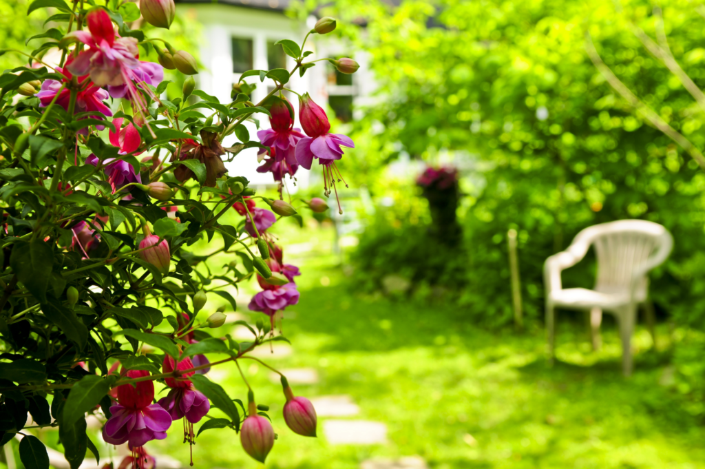 jardin apaisant