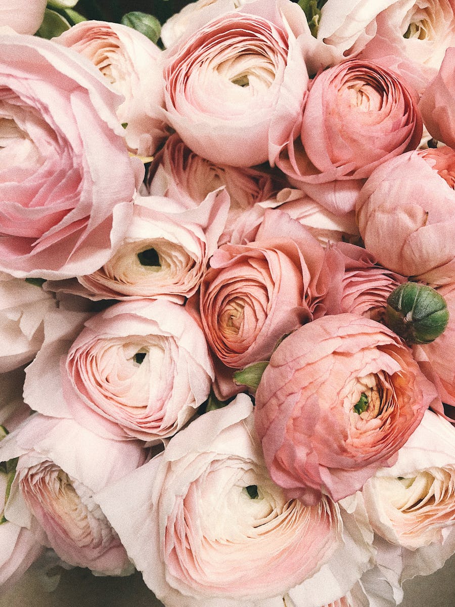bouquet pour cadeau maman