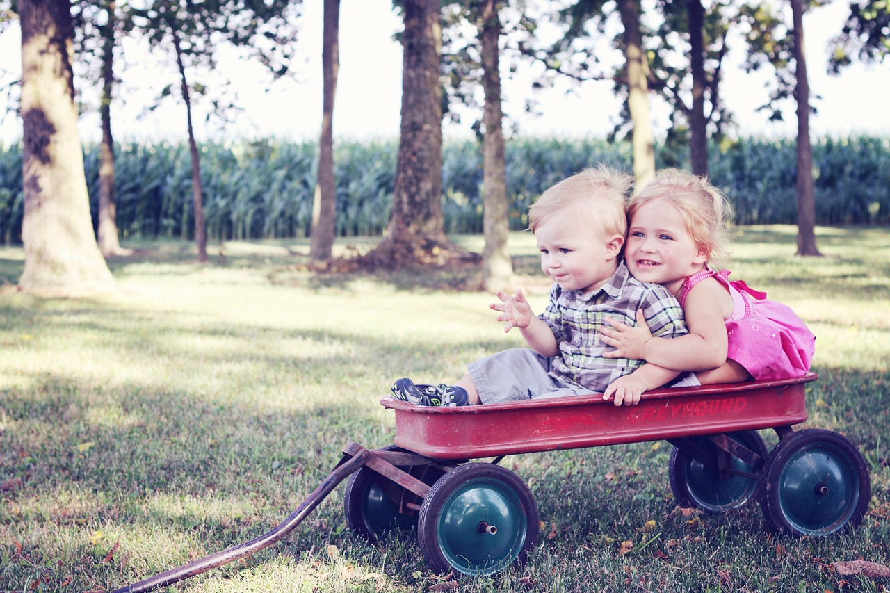 enfants dans charette