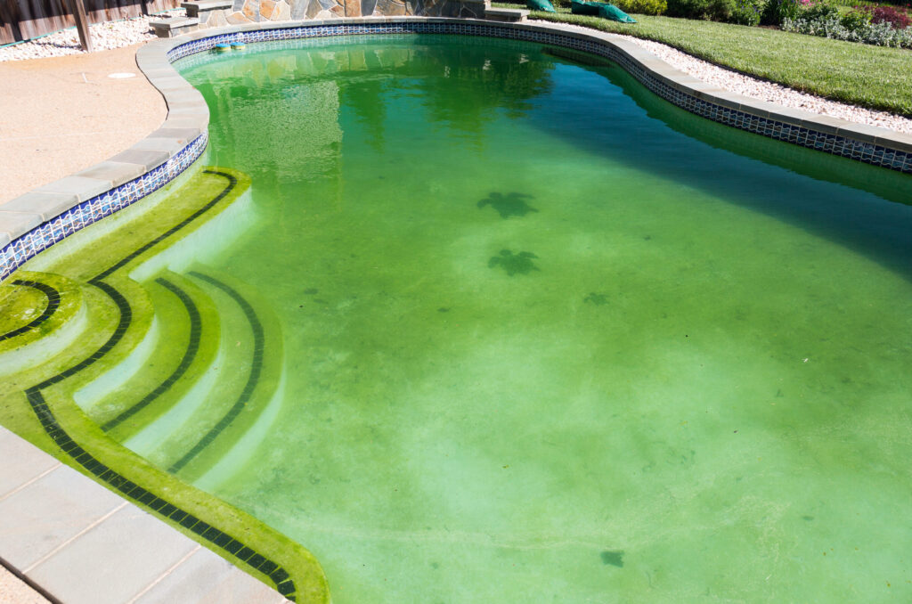 Eau de piscine verte : causes et solutions