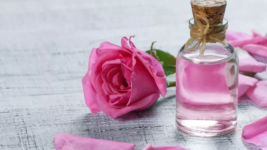 Eau florale de rose : bienfaits et usages