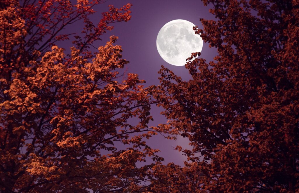 Quels sont les effets de la lune en Vierge sur votre quotidien ?