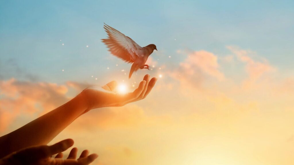 Témoignage : comment mon guide spirituel a transformé ma vie ?