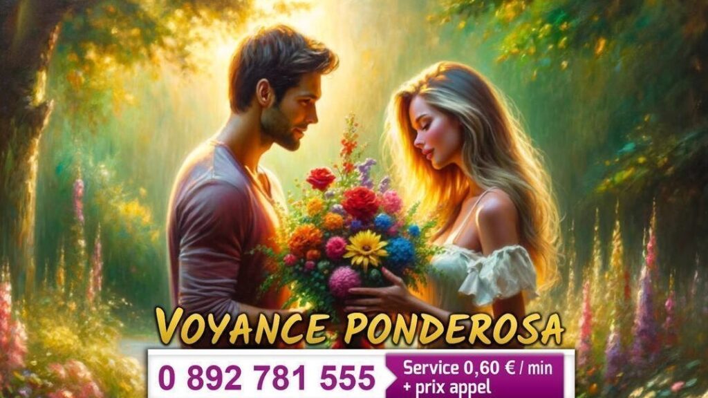 Comment trouver le meilleur service de voyance à Reims ?