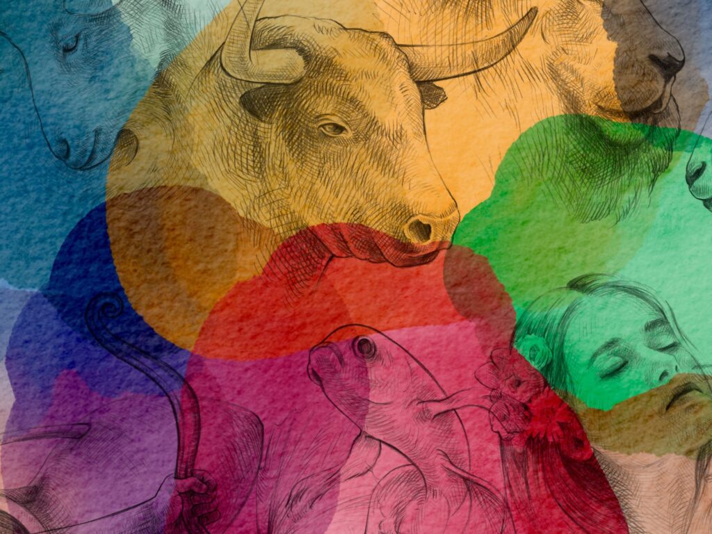 Compatibilité amoureuse : votre relation est-elle idéale avec un Cheval de feu ?