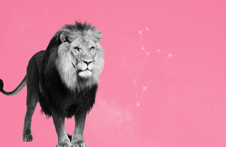 Comment savoir si un lion est amoureux : les signes qui ne trompent pas