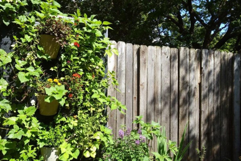 Comment faire un mur végétal extérieur pas cher ?