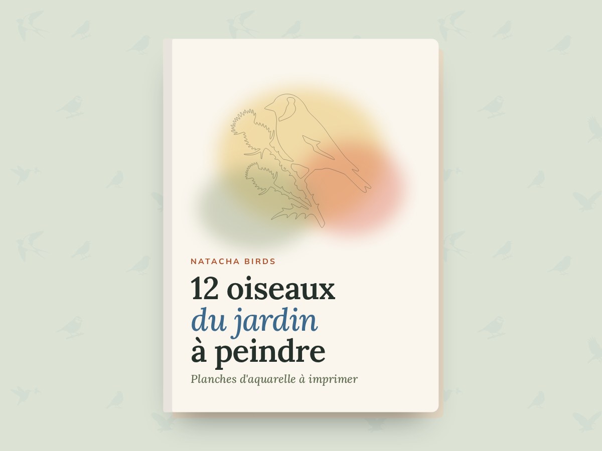 les 12 planches